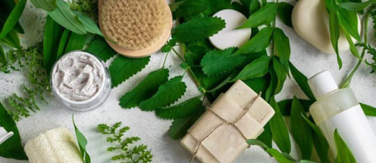 produits bio