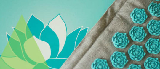 tapis champs de fleurs