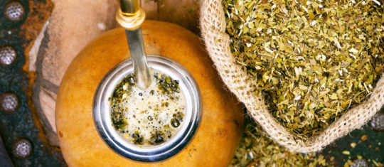 yerba maté