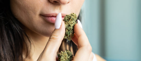 fleurs de CBD