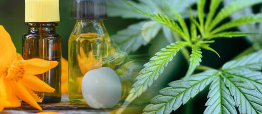 Achat de cbd